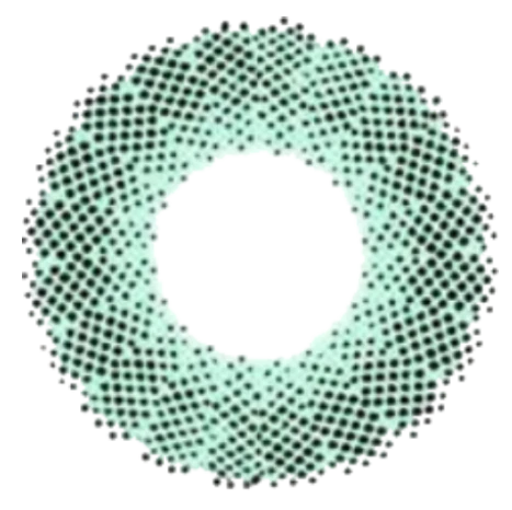 BELLA ELITE - Green olive