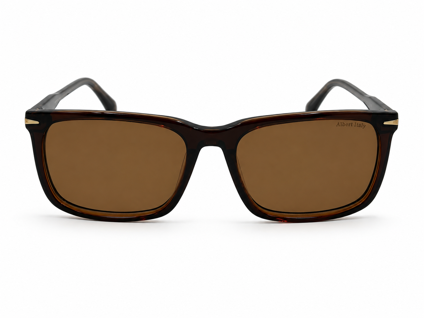 Albert Italy Transparent Dark Brown Rectangle Acetate Sunglasses